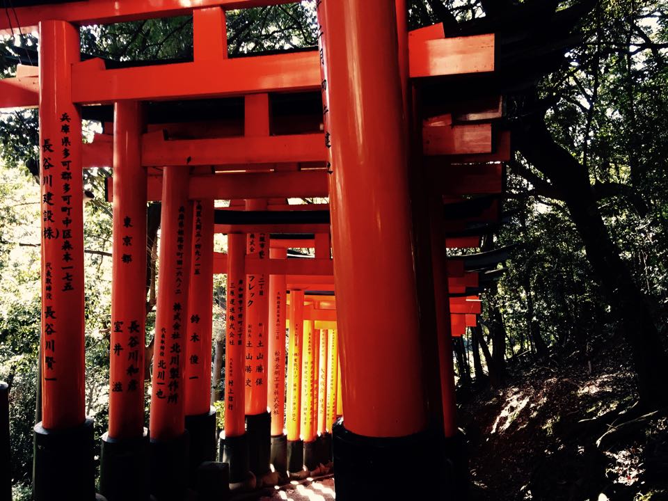 10,000 Ways to Reach Fushimi Inari Shrine in Kyoto