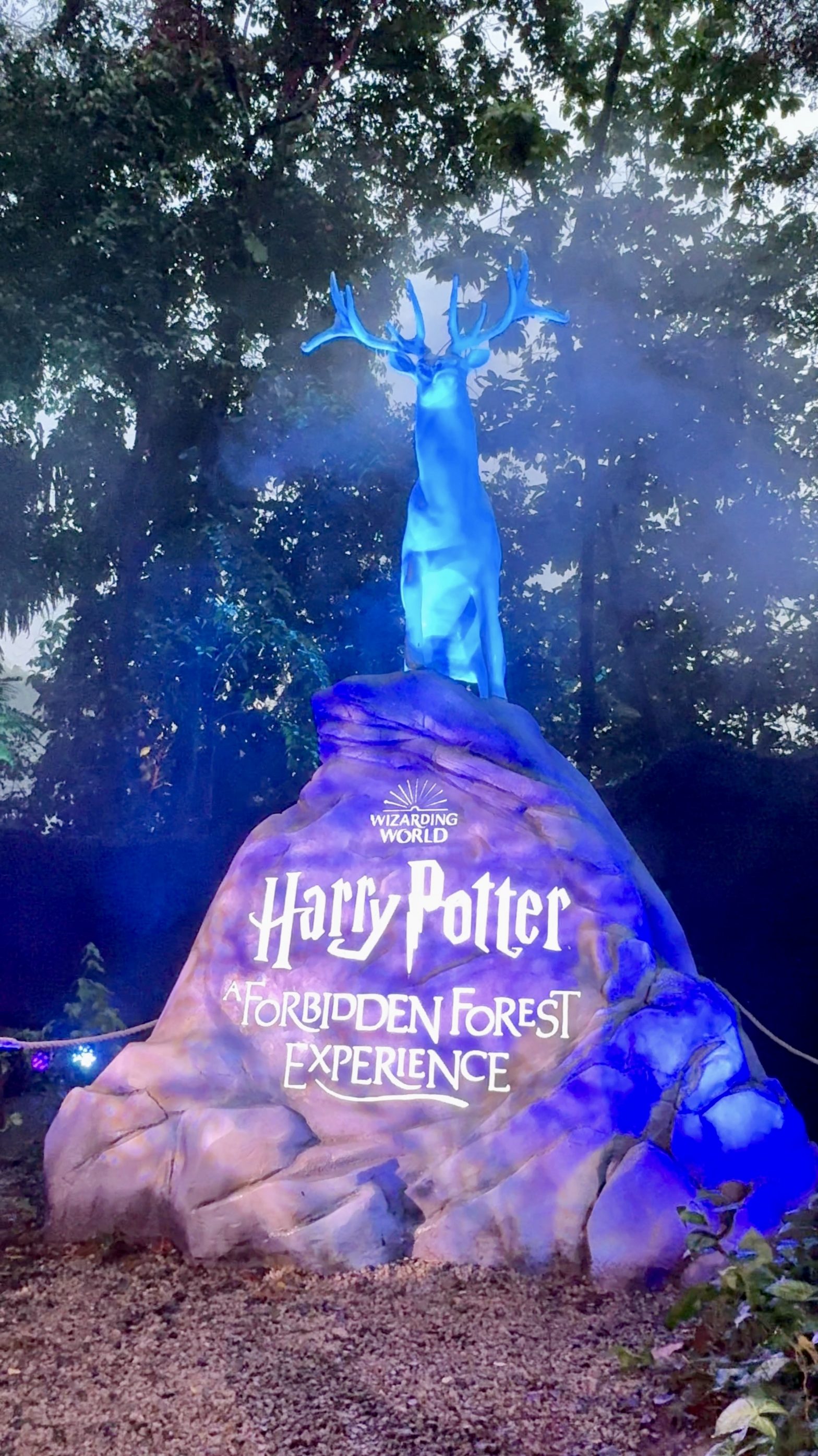 Harry Potter: A Forbidden Forest Experience, Singapore